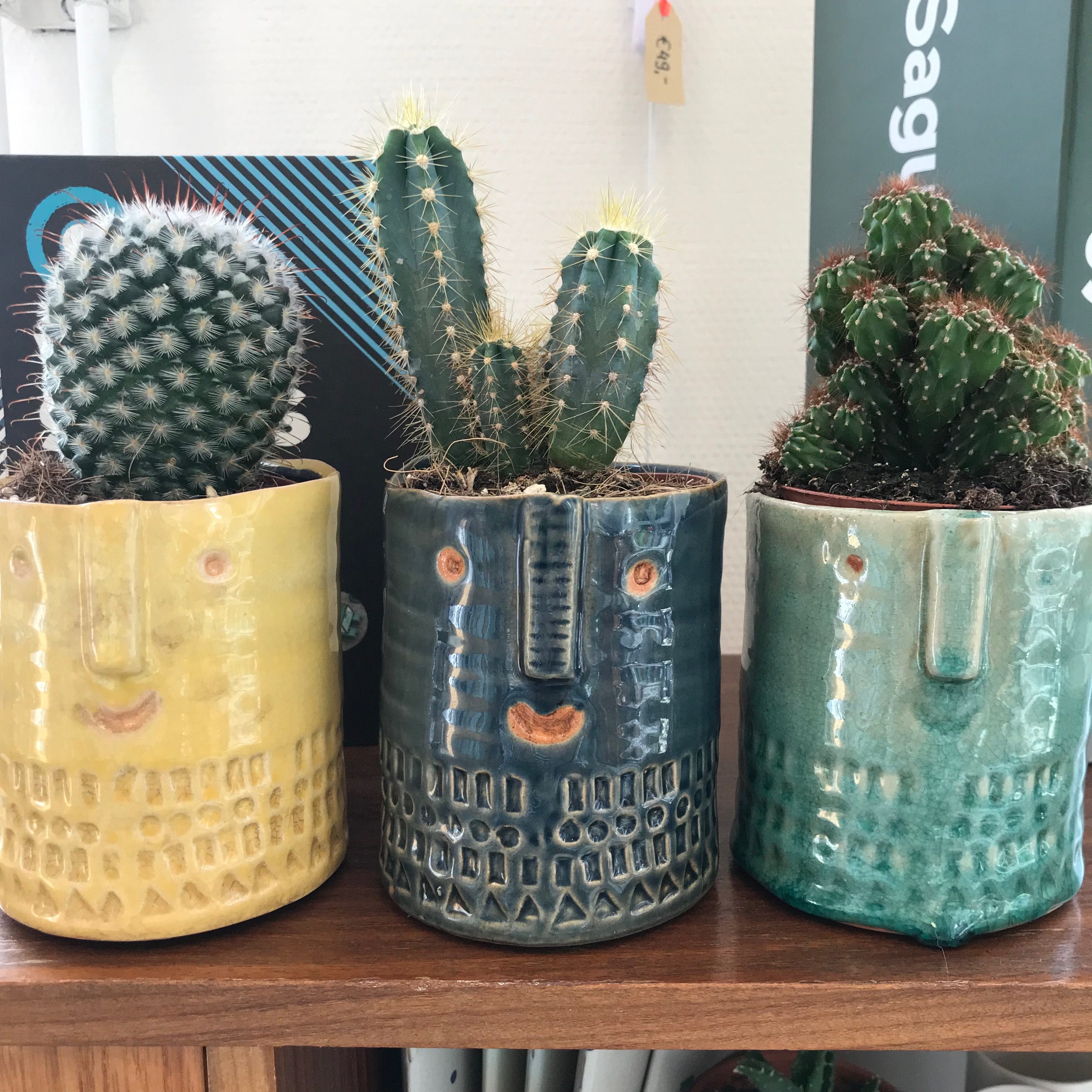 vredig Groot hoek Cactus in keramieken pot met gezicht – diverse kleuren – Groot – Lievelings
